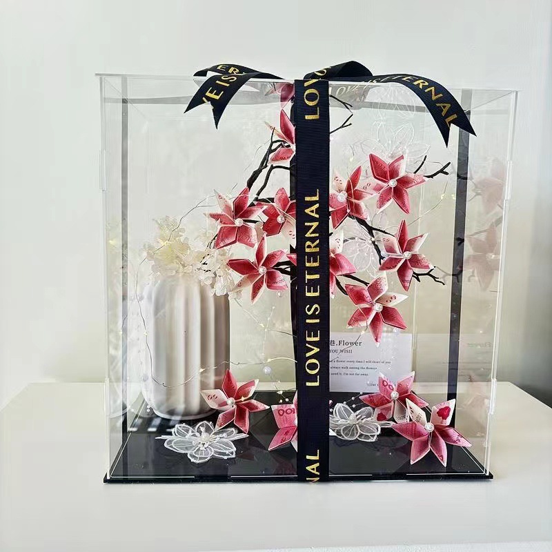 Clear Acrylic Protect Box, Ass - Display Case Acrylic recensie en prijs