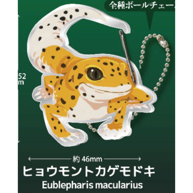 Gecko Lover Carabiner Gashapon - Capsule Toy Gashapon recensie en prijs